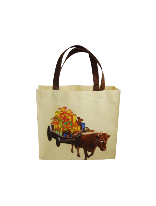 Non-Woven Bag