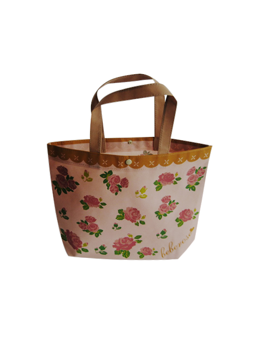 Non-Woven Bag